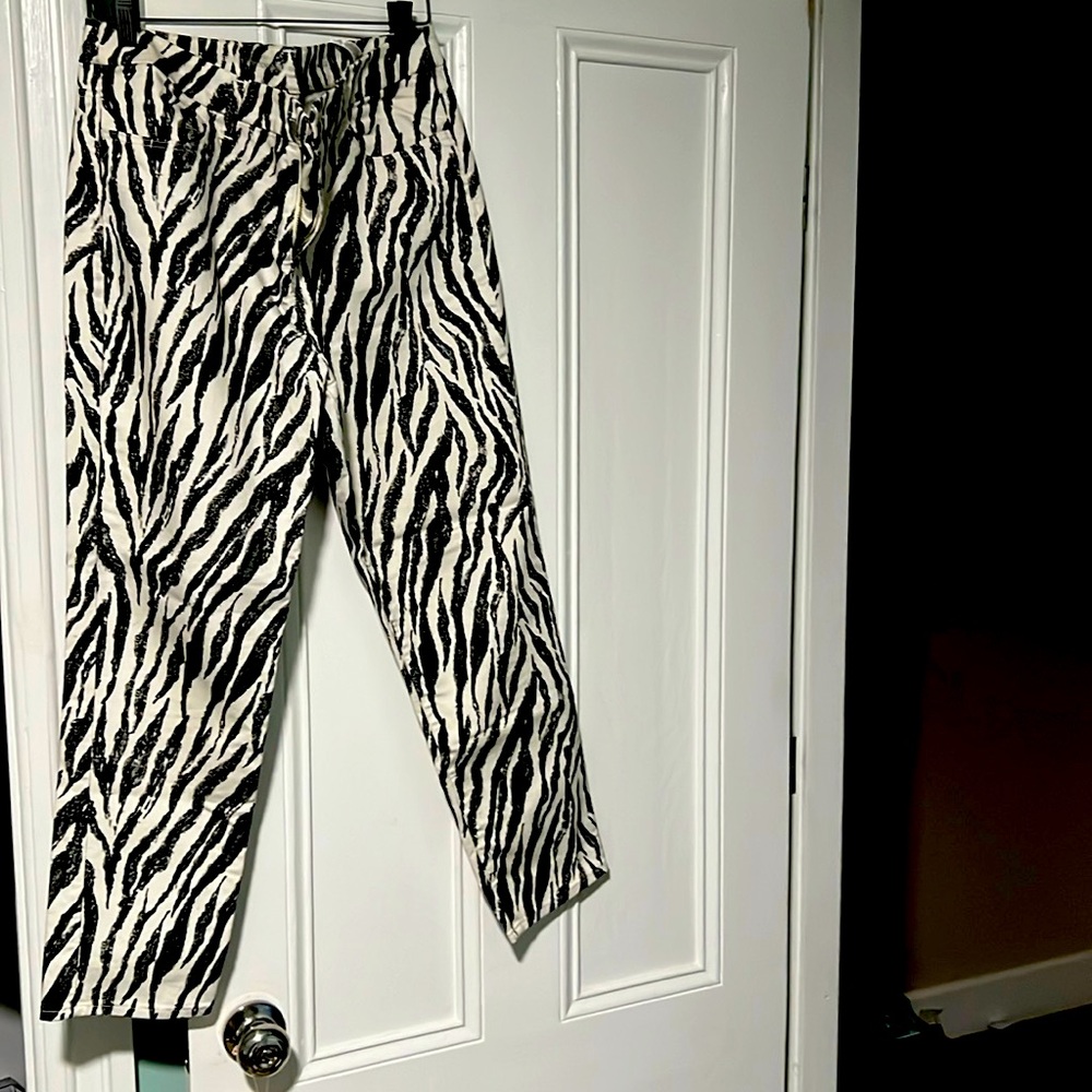 Chicos Zebra 🦓 Print
